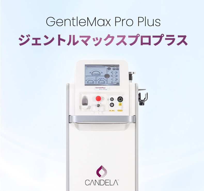 ジェントルマックス プロ プラス