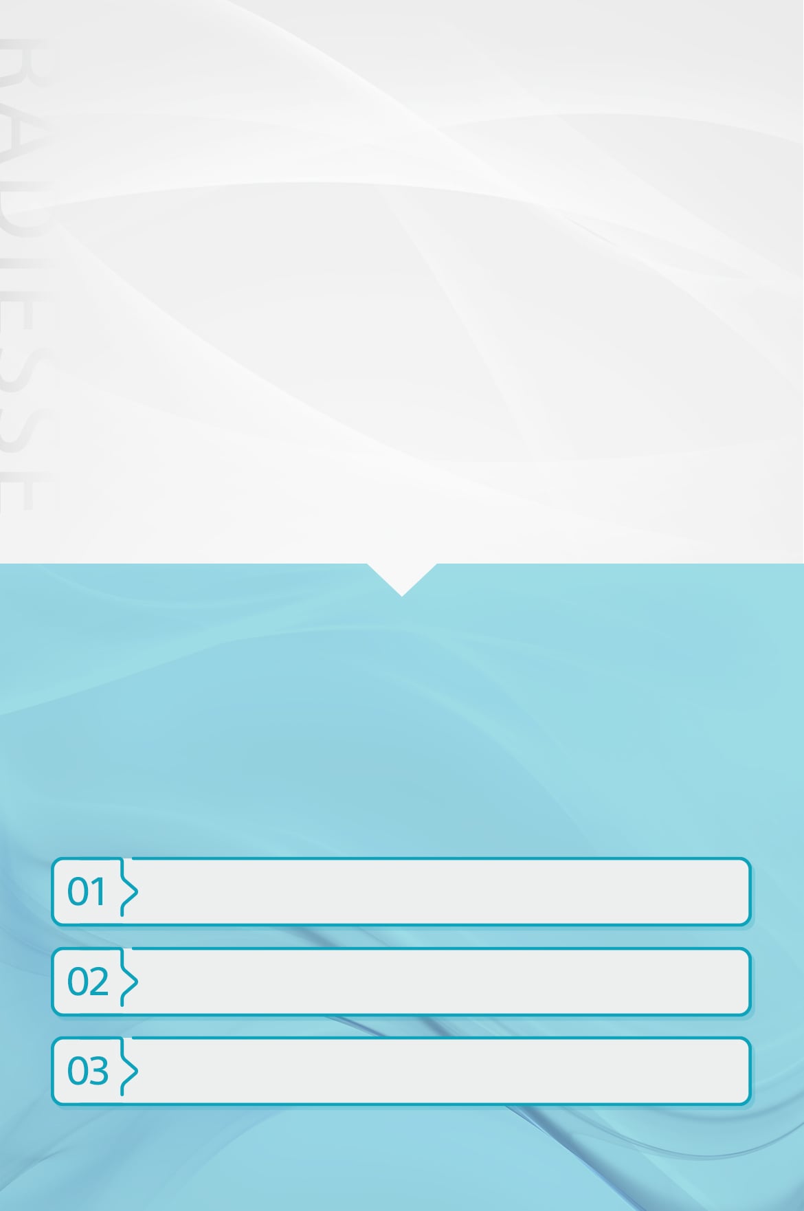 レディエスとは？