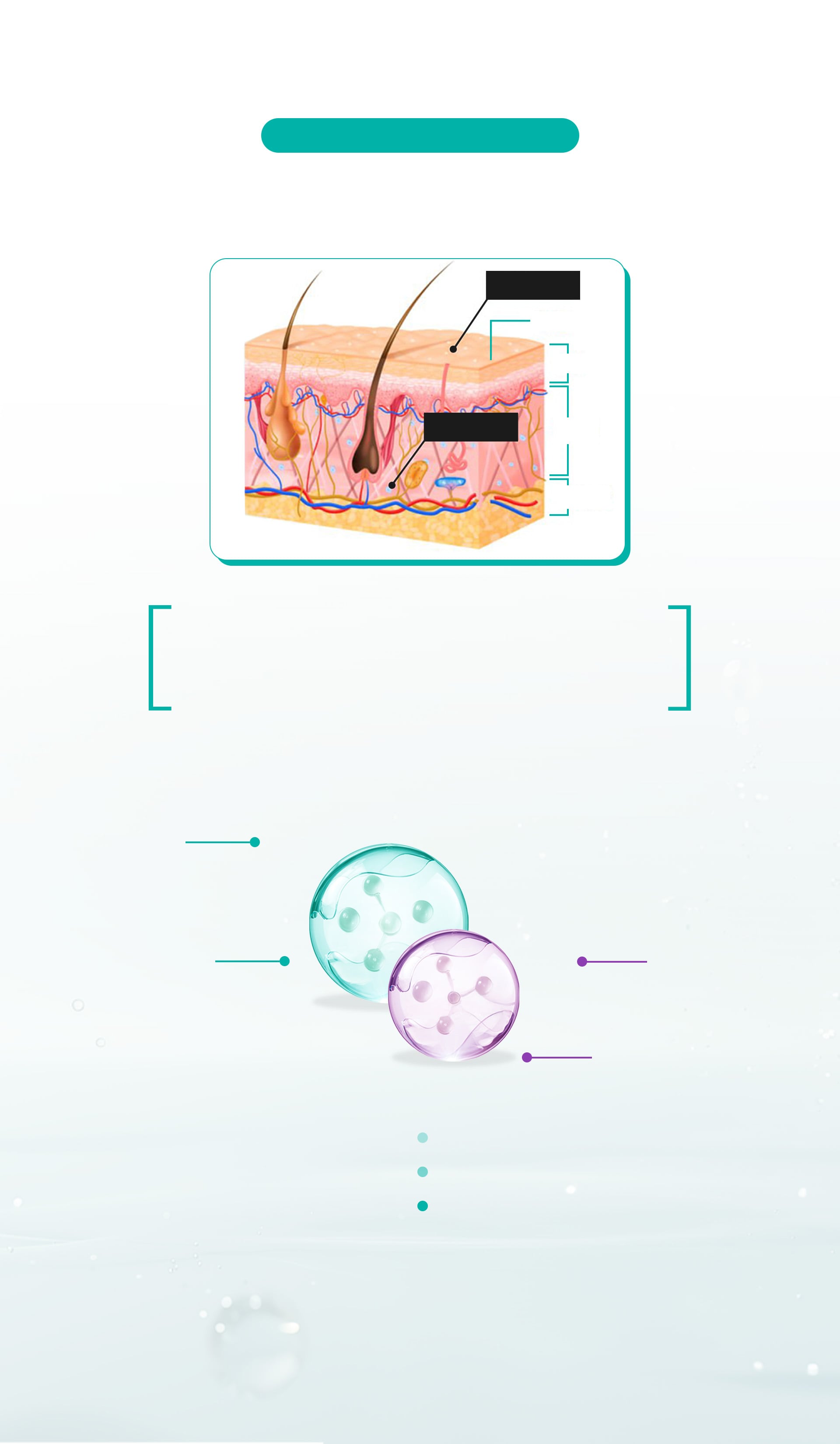 グリセロール成分説明