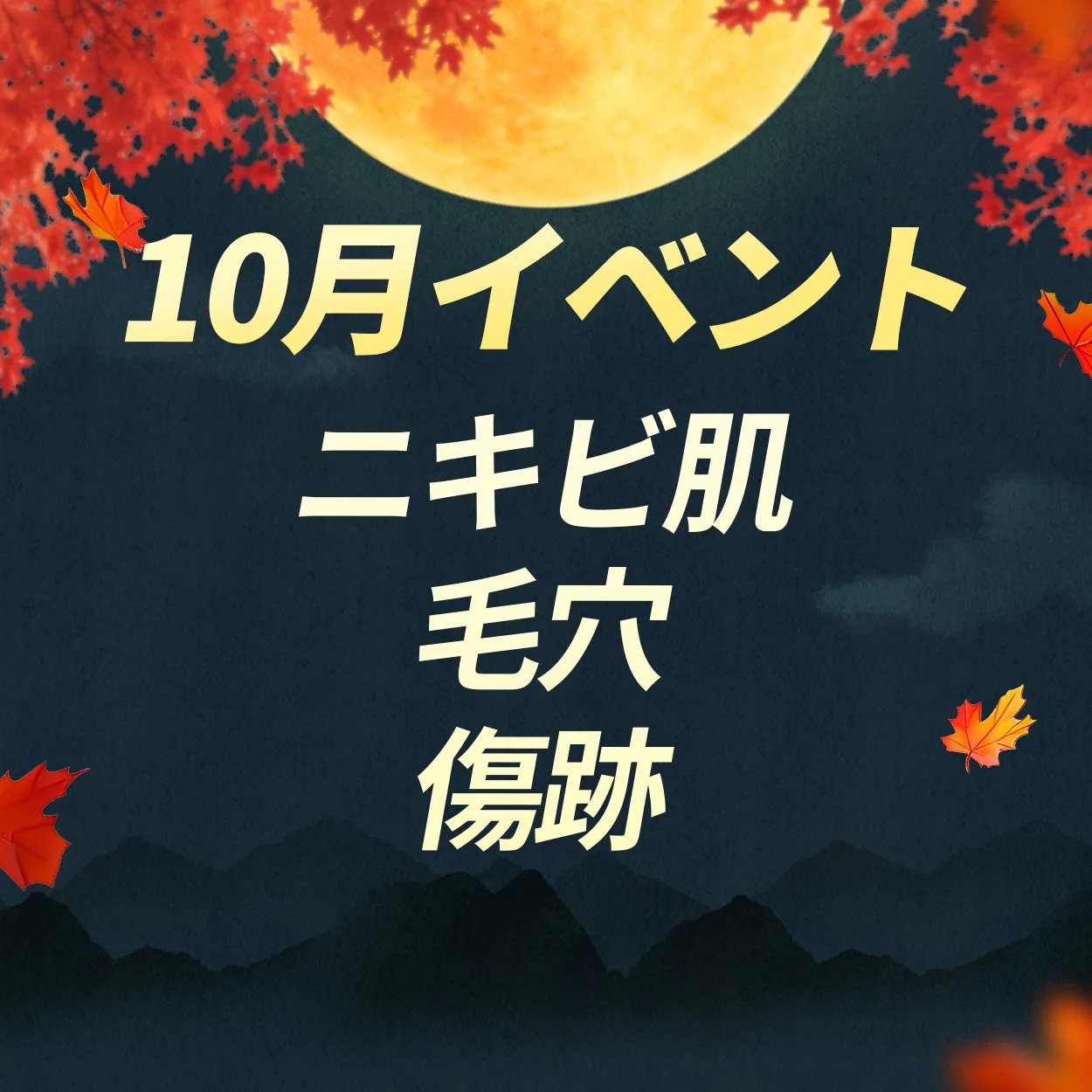 ニキビ肌/毛穴/傷跡